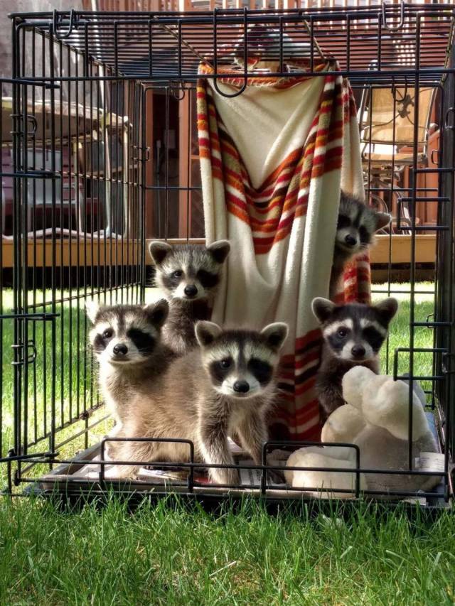 daily picdump 102 pics 39.html - 102 HD Photos | Premium Gallery 2018