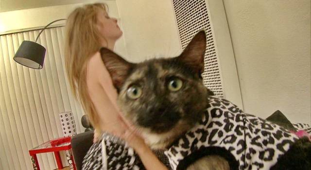 Dirty Mind, Come Here!