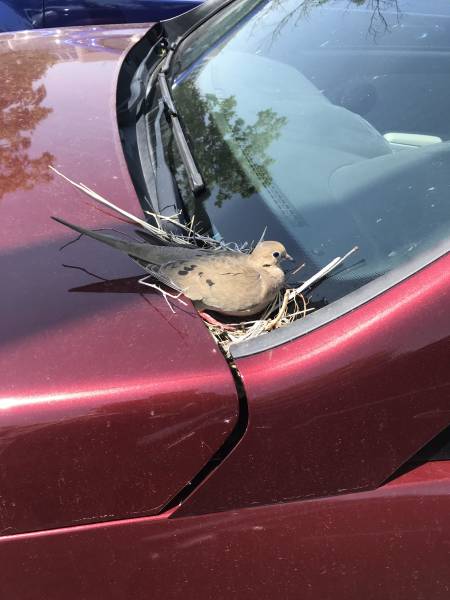 morning picdump 51 pics 4.html - 51 HD Photos | Premium Gallery 2018