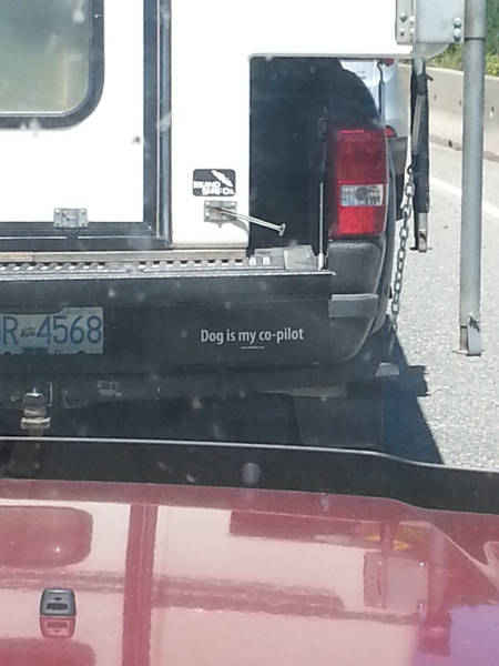 morning picdump 51 pics 4.html - 51 HD Photos | Premium Gallery 2018