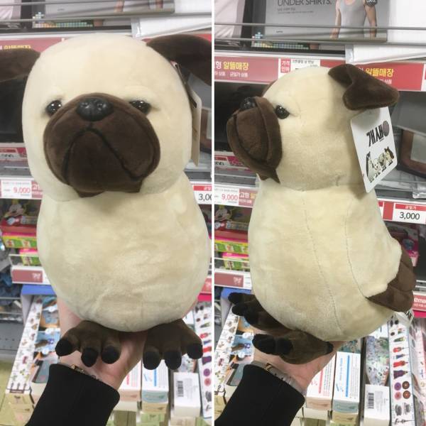 morning picdump 51 pics 4.html - 51 HD Photos | Premium Gallery 2018