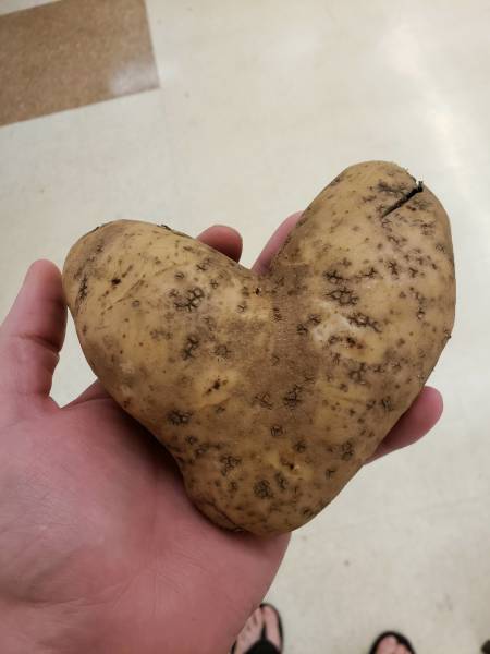 morning picdump 51 pics 4.html - 51 HD Photos | Premium Gallery 2018