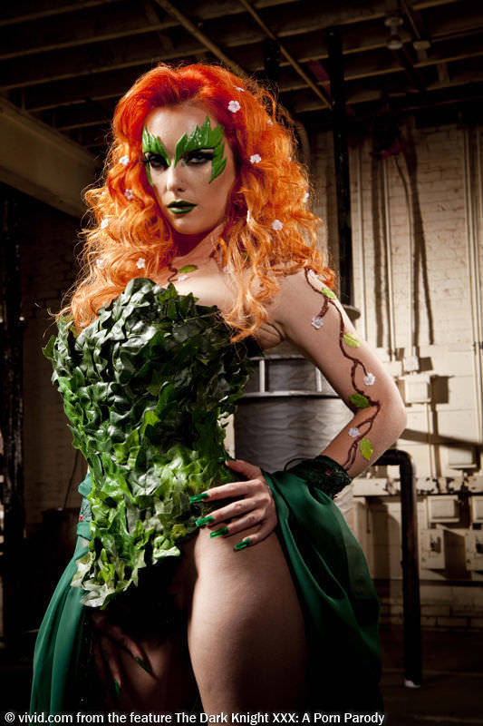 Not Cosplays, But Porn Stills