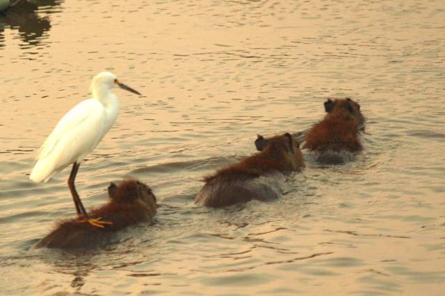 daily picdump 94 pics 5.html - 94 HD Photos | Premium Gallery 2018