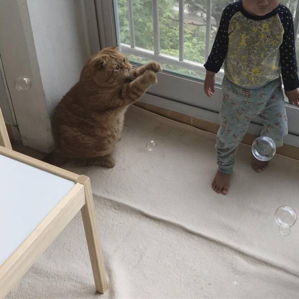 daily picdump 94 pics 5.html - 94 HD Photos | Premium Gallery 2018