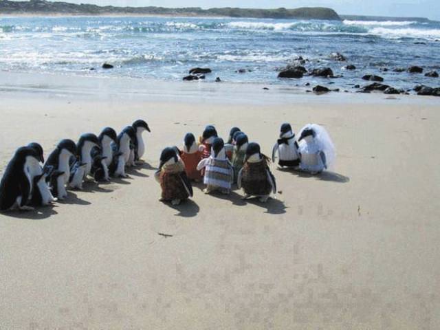 daily picdump 94 pics 5.html - 94 HD Photos | Premium Gallery 2018