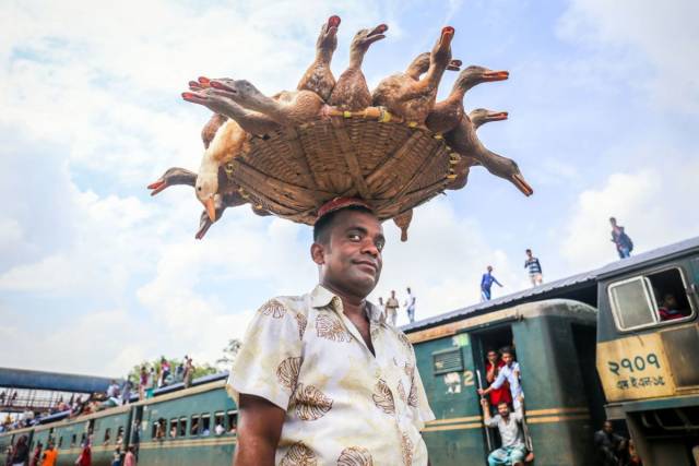 daily picdump 94 pics 5.html - 94 HD Photos | Premium Gallery 2018