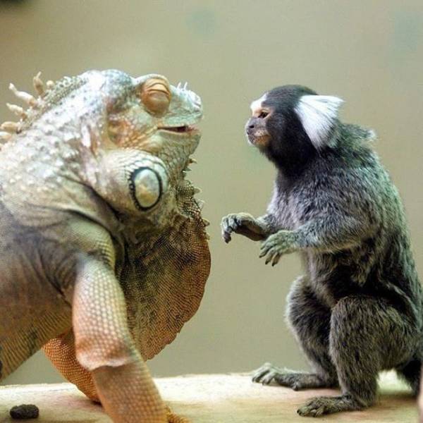 daily picdump 94 pics 5.html - 94 HD Photos | Premium Gallery 2018