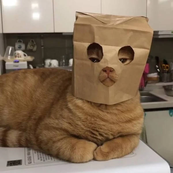 morning picdump 54 pics 21.html - 54 HD Photos | Premium Gallery 2018