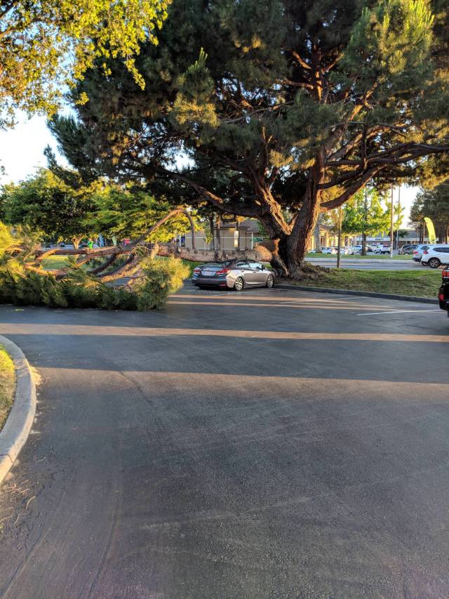 morning picdump 54 pics 21.html - 54 HD Photos | Premium Gallery 2018