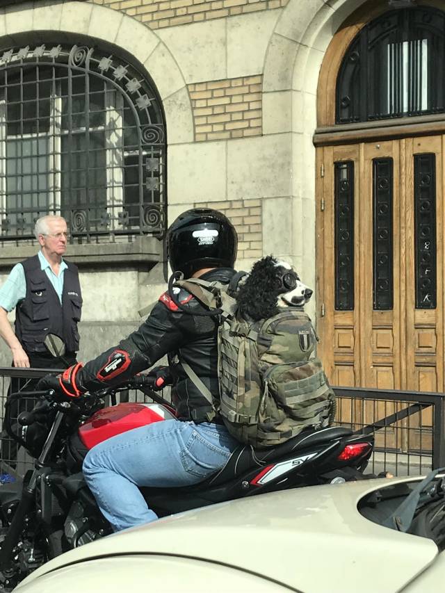 morning picdump 54 pics 21.html - 54 HD Photos | Premium Gallery 2018