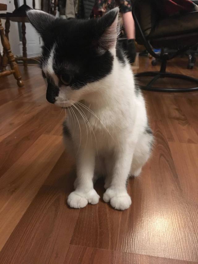 morning picdump 54 pics 21.html - 54 HD Photos | Premium Gallery 2018