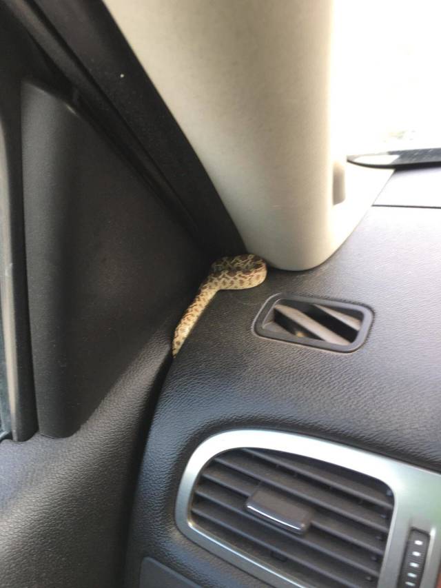 morning picdump 54 pics 21.html - 54 HD Photos | Premium Gallery 2018