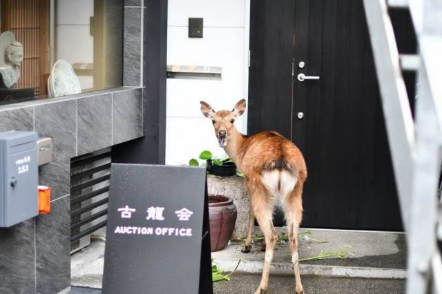 daily picdump 94 pics 15.html - 94 HD Photos | Premium Gallery 2018