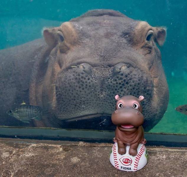 daily picdump 94 pics 15.html - 94 HD Photos | Premium Gallery 2018