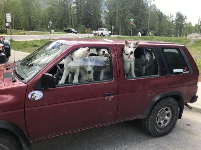 daily picdump 94 pics 15.html - 94 HD Photos | Premium Gallery 2018