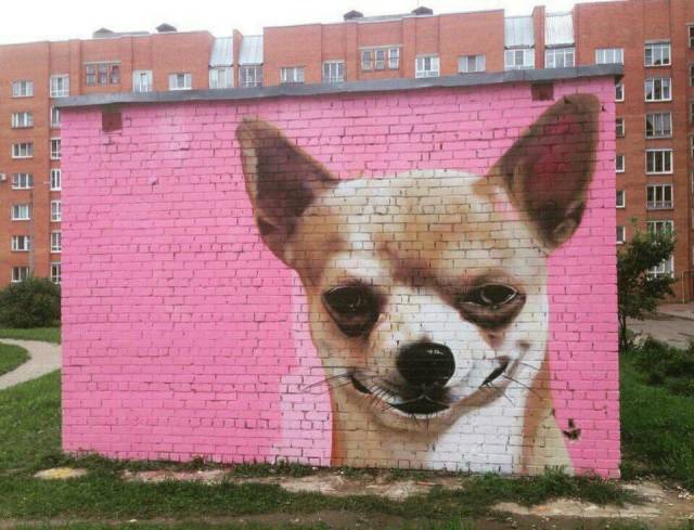 daily picdump 94 pics 15.html - 94 HD Photos | Premium Gallery 2018