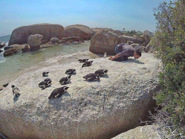 daily picdump 94 pics 15.html - 94 HD Photos | Premium Gallery 2018