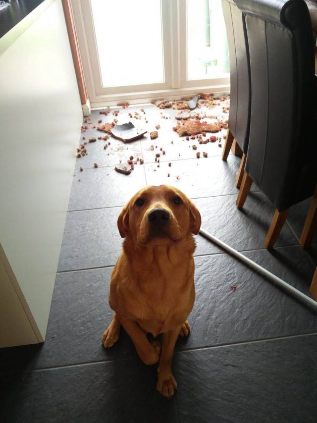 daily picdump 94 pics 15.html - 94 HD Photos | Premium Gallery 2018