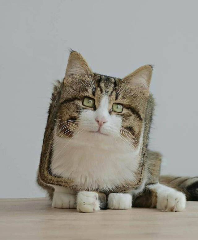 daily picdump 94 pics 15.html - 94 HD Photos | Premium Gallery 2018