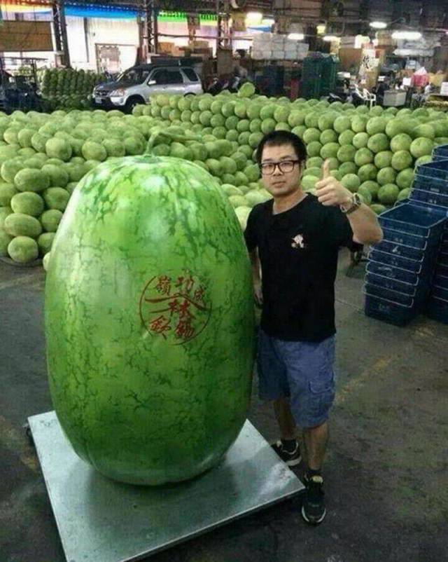 daily picdump 94 pics 15.html - 94 HD Photos | Premium Gallery 2018