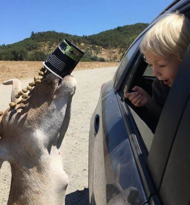 daily picdump 94 pics 15.html - 94 HD Photos | Premium Gallery 2018