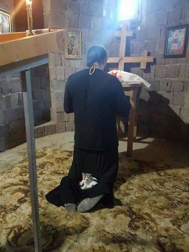 daily picdump 94 pics 15.html - 94 HD Photos | Premium Gallery 2018