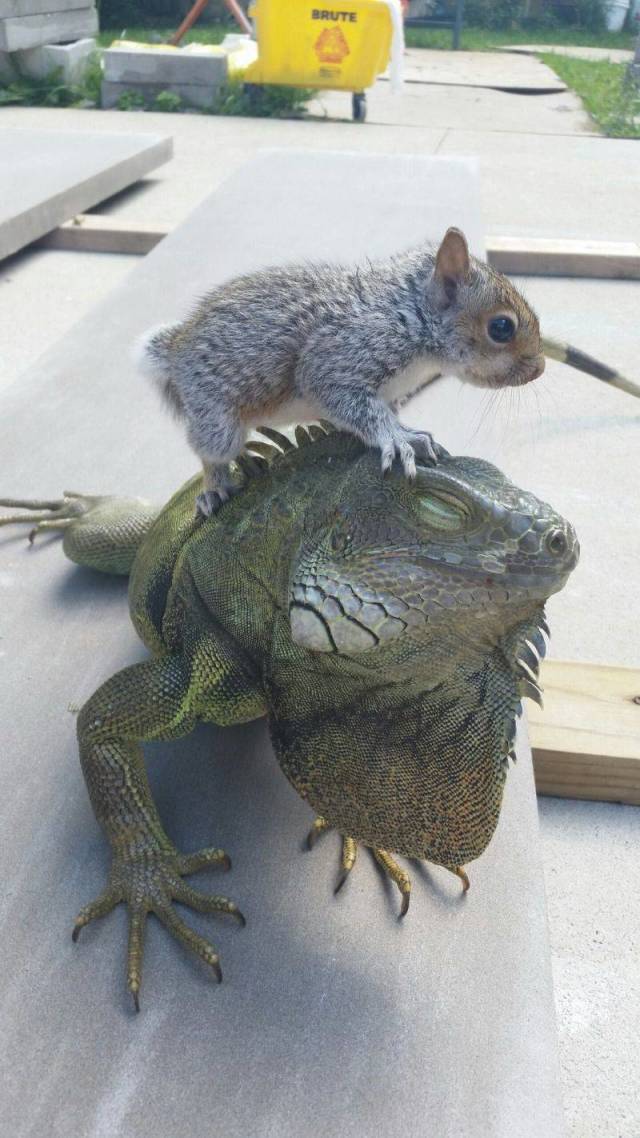 daily picdump 94 pics 15.html - 94 HD Photos | Premium Gallery 2018