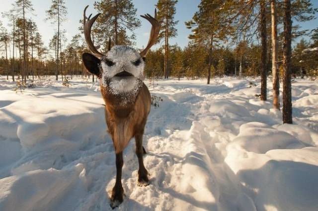 Do You Still Trust Your Eyes?