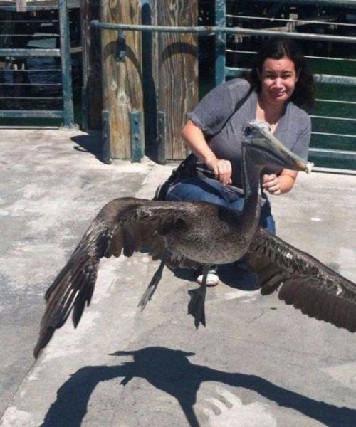 Do You Still Trust Your Eyes?