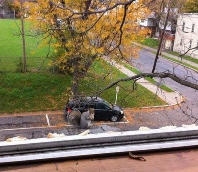 Do You Still Trust Your Eyes?