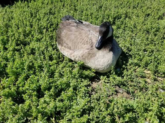 Do You Still Trust Your Eyes?