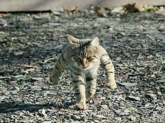 Do You Still Trust Your Eyes?