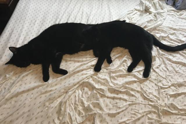 Do You Still Trust Your Eyes?