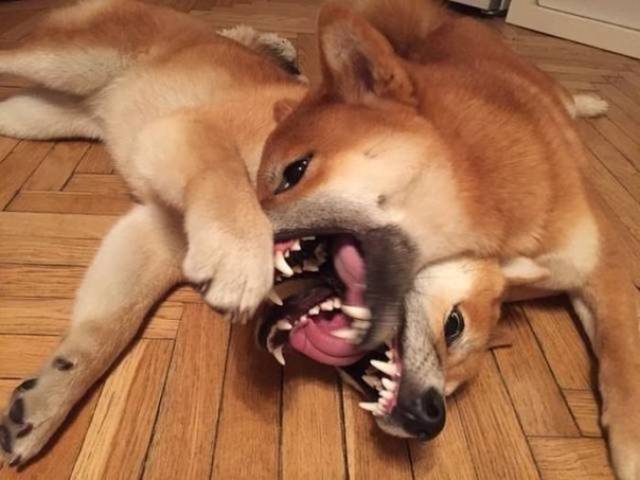 Do You Still Trust Your Eyes?