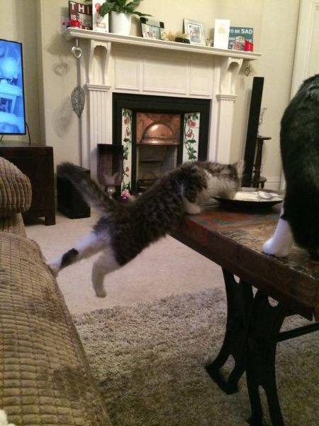 morning picdump 51 pics 2.html - 51 HD Photos | Premium Gallery 2018