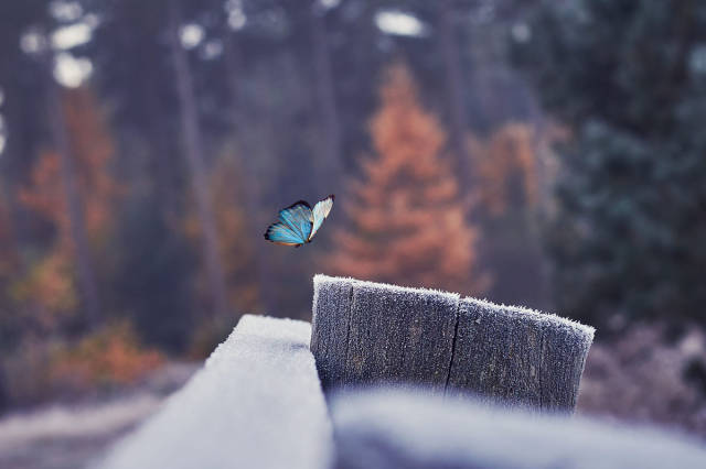 morning picdump 51 pics 2.html - 51 HD Photos | Premium Gallery 2018