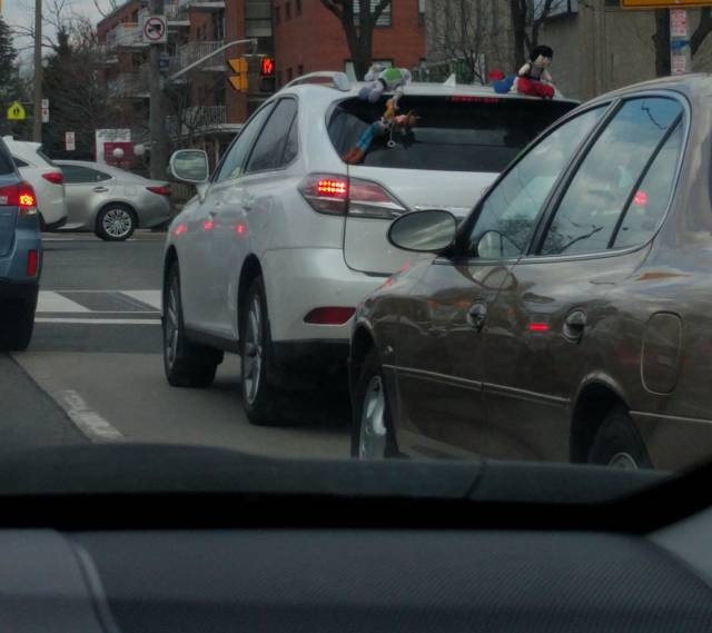 morning picdump 51 pics 2.html - 51 HD Photos | Premium Gallery 2018