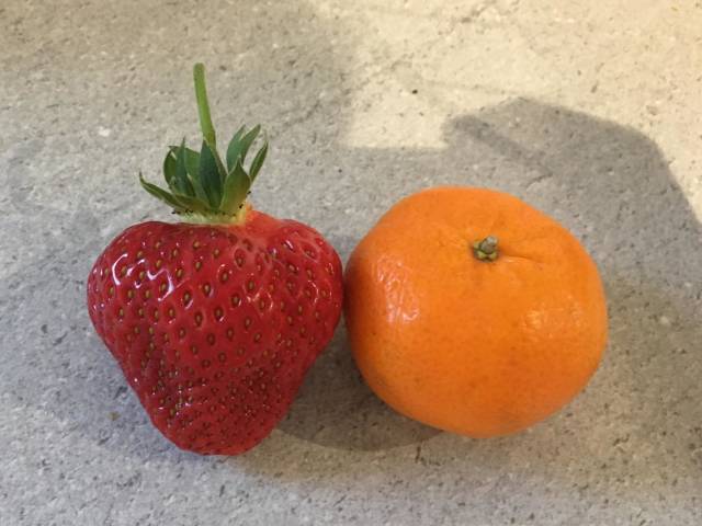 morning picdump 51 pics 2.html - 51 HD Photos | Premium Gallery 2018