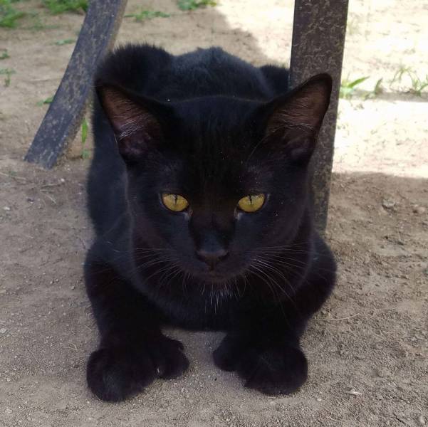 morning picdump 51 pics 2.html - 51 HD Photos | Premium Gallery 2018