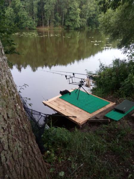 morning picdump 51 pics 2.html - 51 HD Photos | Premium Gallery 2018