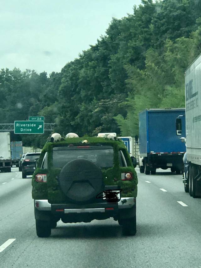 morning picdump 51 pics 2.html - 51 HD Photos | Premium Gallery 2018