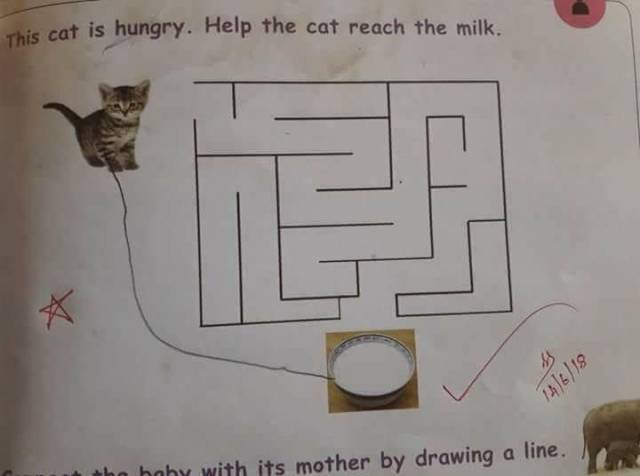 Daily Picdump [WEEKEND EDITION]