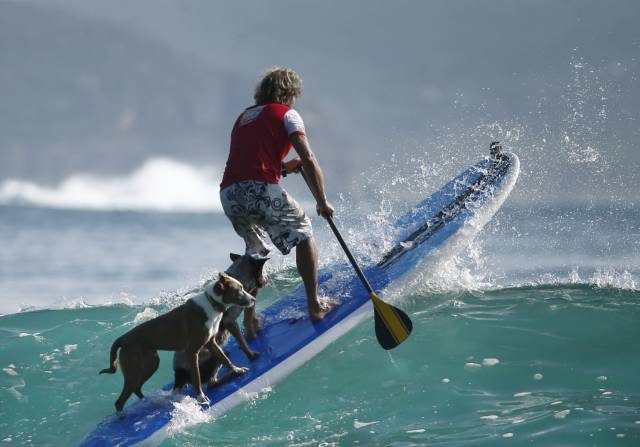 Daily Picdump [WEEKEND EDITION]