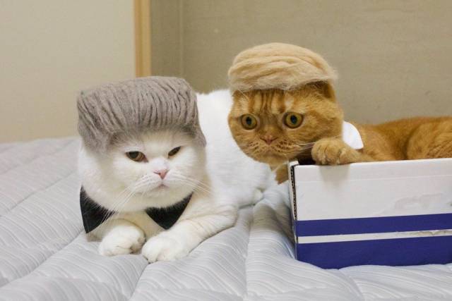 Daily Picdump [WEEKEND EDITION]