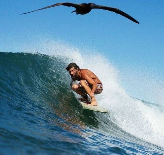 daily picdump weekend edition 74 pics 3.html - 74 HD Photos | Premium Gallery 2018