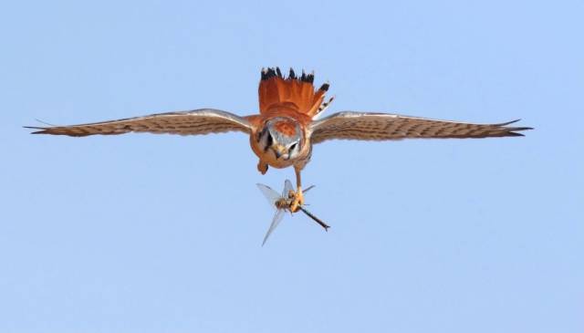 daily picdump weekend edition 74 pics 3.html - 74 HD Photos | Premium Gallery 2018