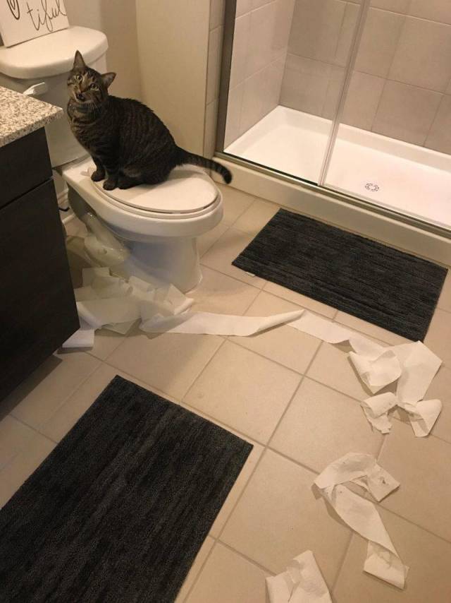 Daily Picdump [WEEKEND EDITION]