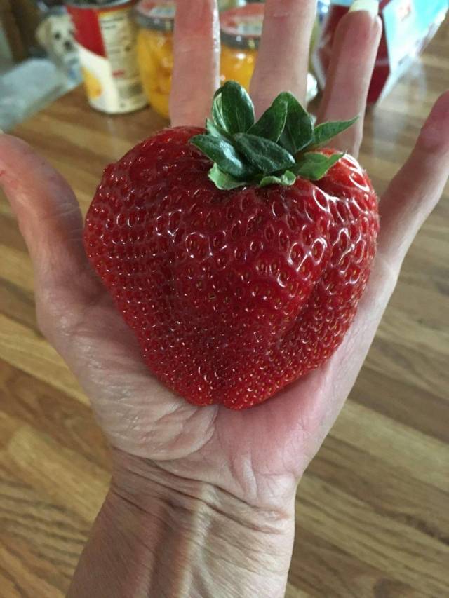 Daily Picdump [WEEKEND EDITION]