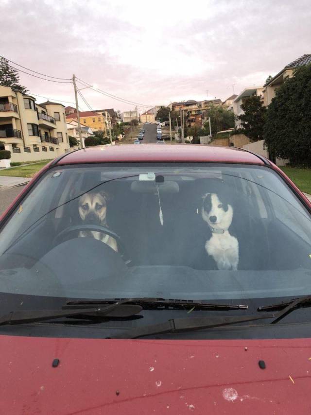 Daily Picdump [WEEKEND EDITION]